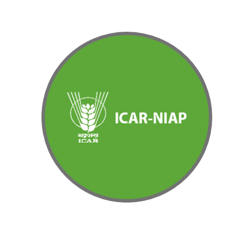 ICAR - NIAP